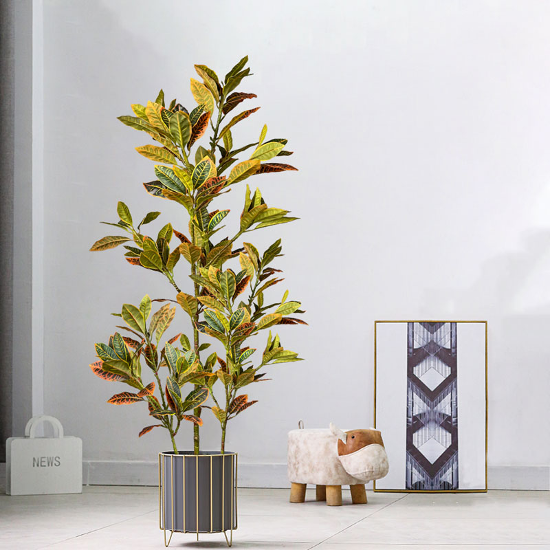 Rubber Plant Ficus - Pohon Ficus palsu besar 120cm tanaman
