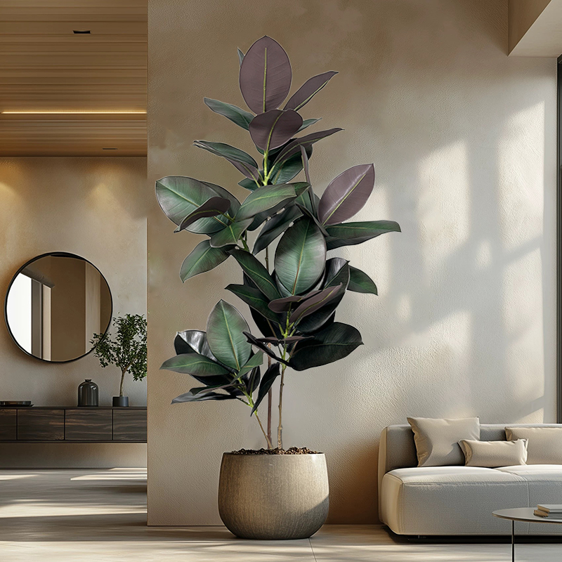 Rubber Plant Ficus - Pohon Ficus Buatan 70-150cm Tanaman Tropis