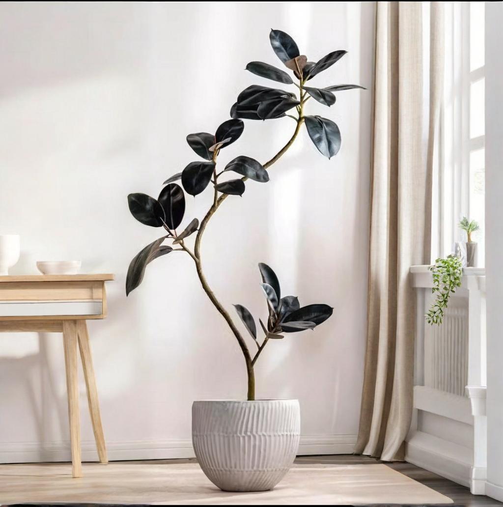 Rubber Plant Ficus - Tanaman Plastik Buatan dalam Pot Tanaman