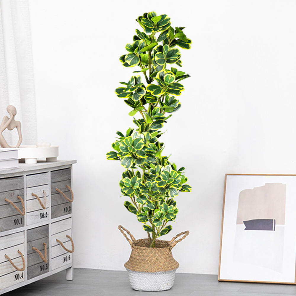 76Cm/115Cm Pohon Ficus Buatan  - Rubber Plant Ficus ulasan dan harga