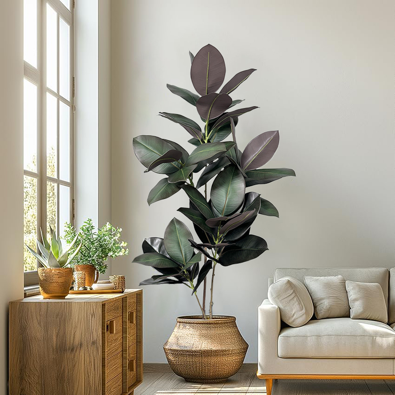 Pohon Ficus Buatan 70-150cm Ta - Rubber Plant Ficus ulasan dan harga