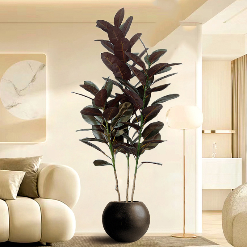 Pohon karet buatan pohon Ficus - Rubber Plant Ficus ulasan dan harga