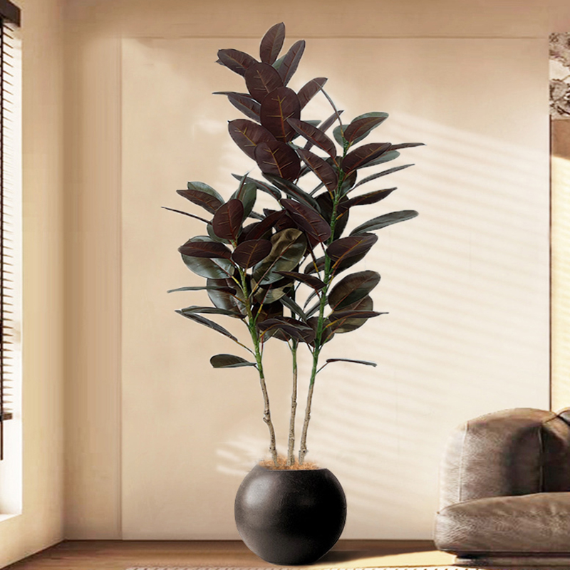 Pohon karet buatan pohon Ficus - Rubber Plant Ficus ulasan dan harga