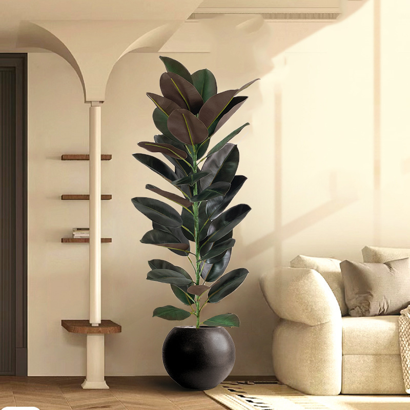 Pohon karet buatan pohon Ficus - Rubber Plant Ficus ulasan dan harga