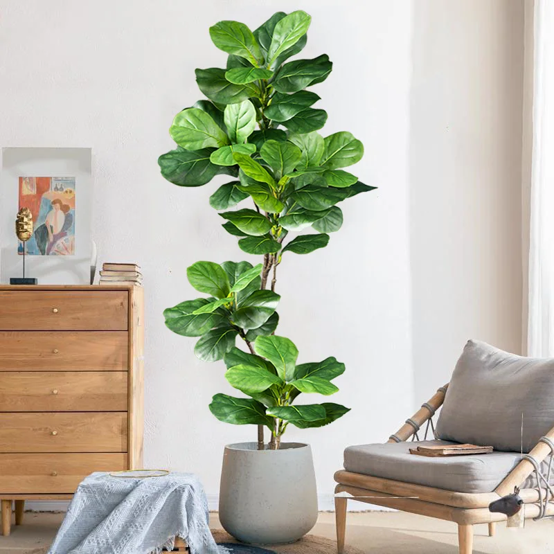 Pohon Ficus Buatan Besar 2-4.9 - Rubber Plant Ficus ulasan dan harga