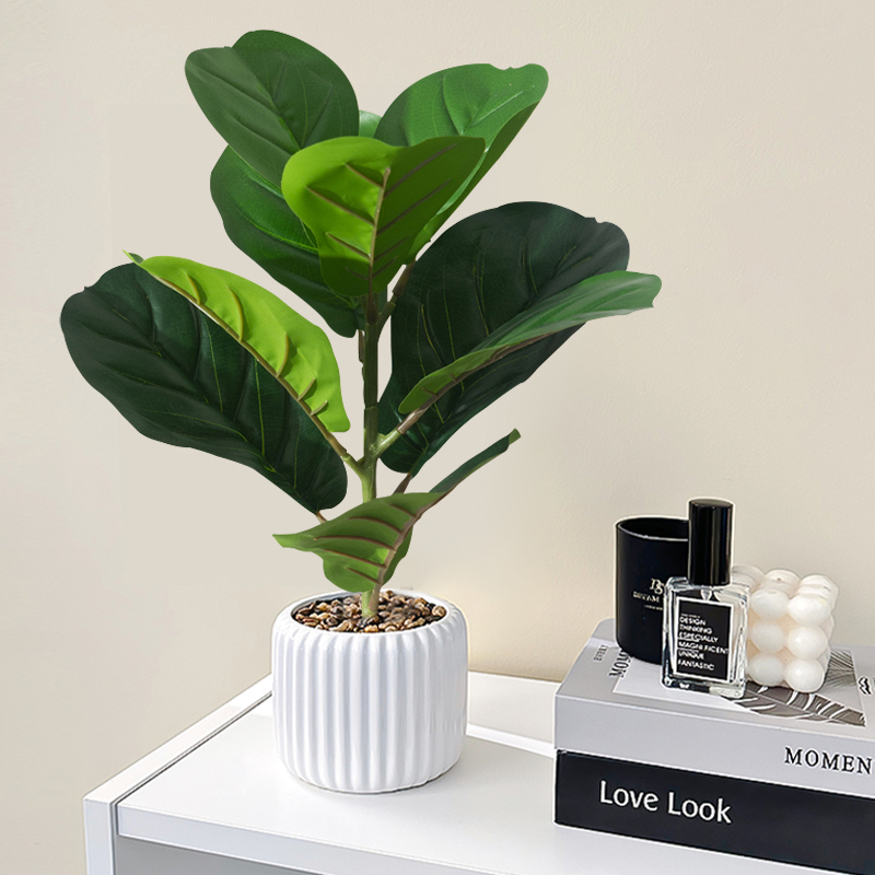 Pohon Ficus palsu 38cm daun bi - Rubber Plant Ficus ulasan dan harga